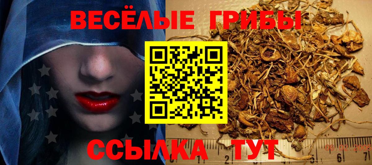 Галлюциногенные грибы прущие грибы Каменск-Шахтинский