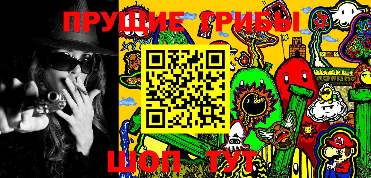 где найти   Псилоцибиновые грибы Magic Shrooms  Вход с VPN  Каменск-Шахтинский  Псилоцибиновые грибы Magic Shrooms 