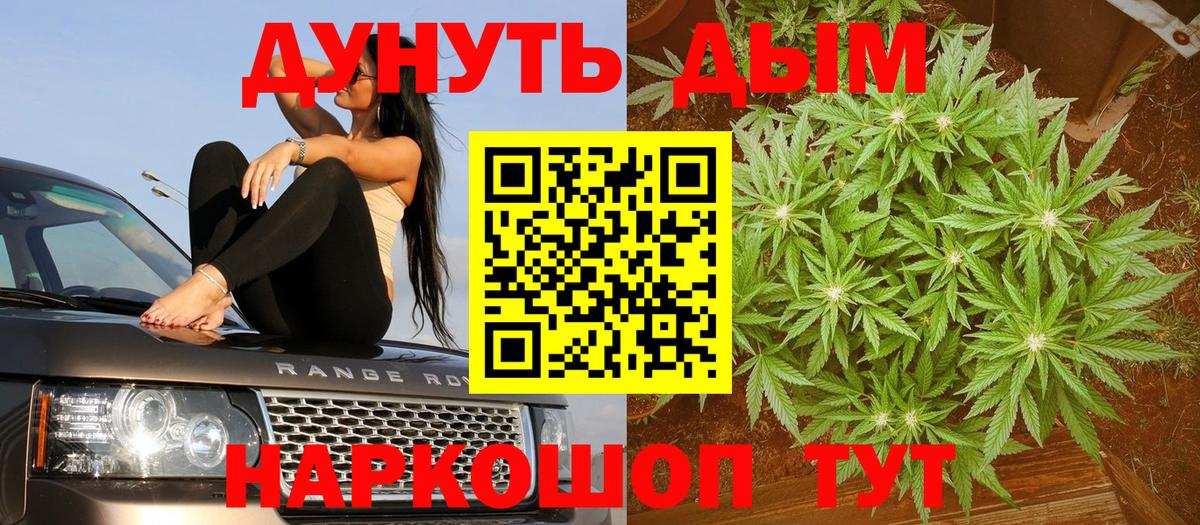 МАРИХУАНА сатива Каменск-Шахтинский